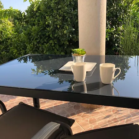 Delfini Sveti Filip i Jakov