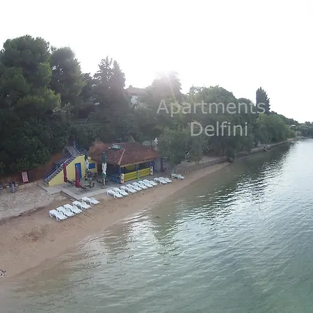 Delfini Apartamento *