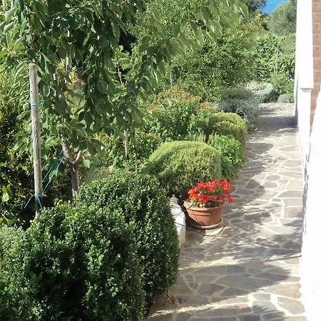 Delfini Sveti Filip i Jakov