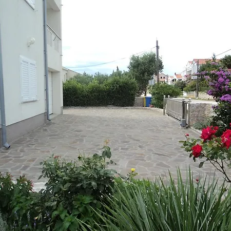 Delfini * Sveti Filip i Jakov