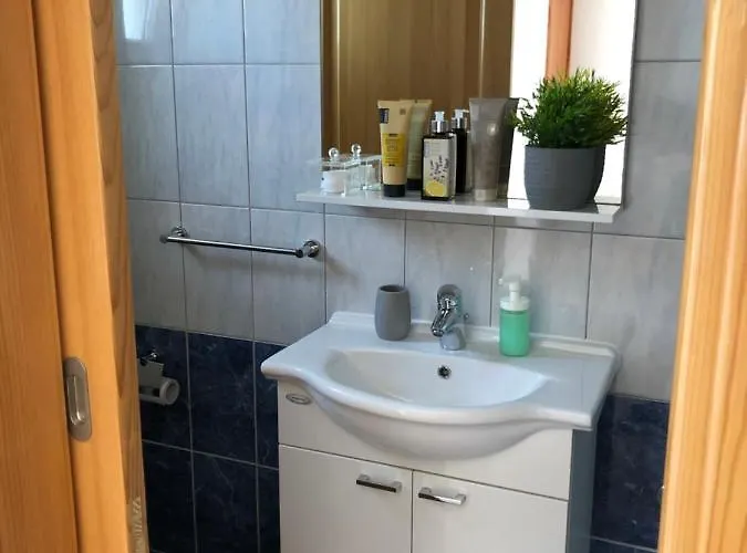 Delfini アパート