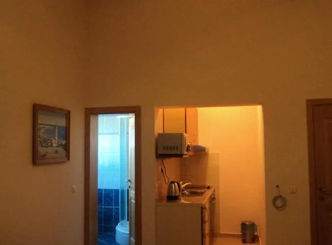 Delfini * Sveti Filip i Jakov