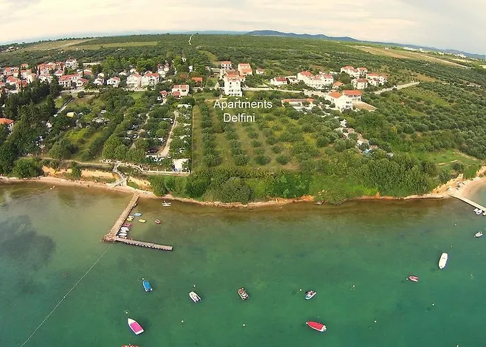 Delfini * Sveti Filip i Jakov