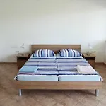 Delfini