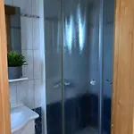 Delfini