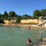 Delfini *