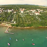 Delfini * Sveti Filip i Jakov