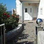 Delfini
