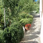 Delfini Sveti Filip i Jakov