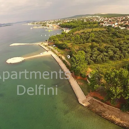 Delfini * Sveti Filip i Jakov