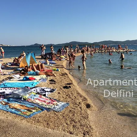Delfini Διαμέρισμα