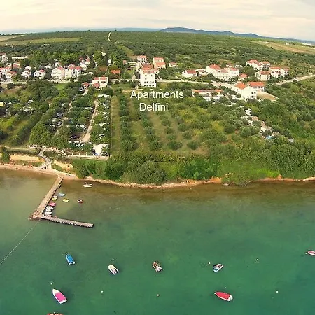 Delfini * Sveti Filip i Jakov