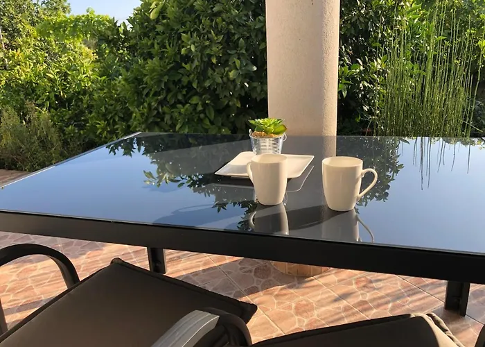 Delfini 스베티필립아이자코브