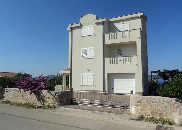 Delfini * 스베티필립아이자코브